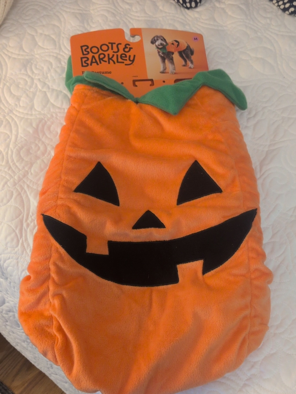 Boots & Barkley Pumpkin Dig Costume